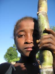 Article : Histoire vraie « dimanche dernier » : petit vécu sur le racisme et le travail des enfants à Madagascar