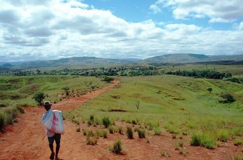 Article : Madagascar : Andrebabe, le village invisible et autres Mikea