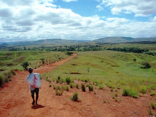Article : Madagascar : Andrebabe, le village invisible et autres Mikea