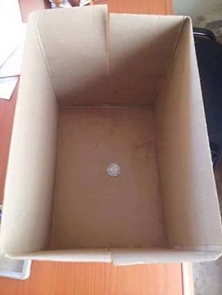 Article : Participez au #baoritrachallenge #madagascar