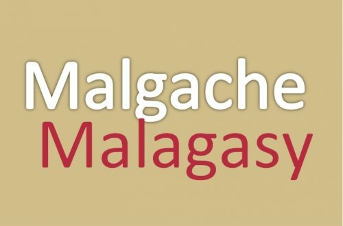 Article : Malagasy ou Malgache, vous ne pouvez pas forcer les gens à choisir